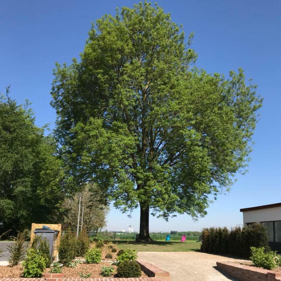 Gites Du Frene Wattignies Exteriér fotografie